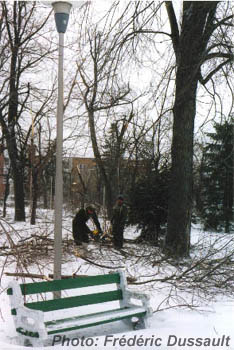 Entretien2.JPG (35968 bytes)